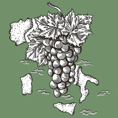 Wine & Dine 'Serata piemontese'